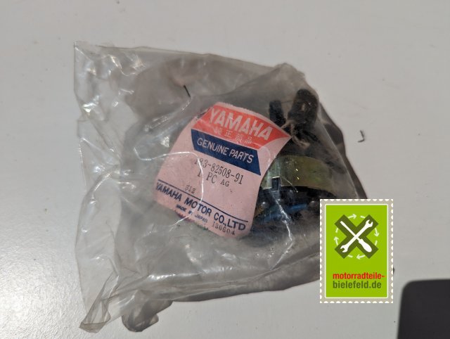 PXL_20240523_112533401